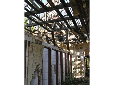 Foto 41